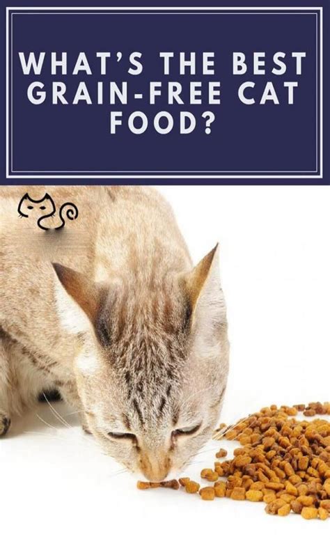 Is Acana Cat Food Grain Free Usfoods