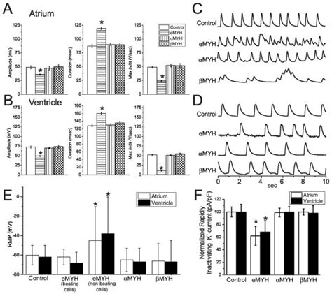 Changes In Cardiac Action Potential Intracellular Ca2 And I K In