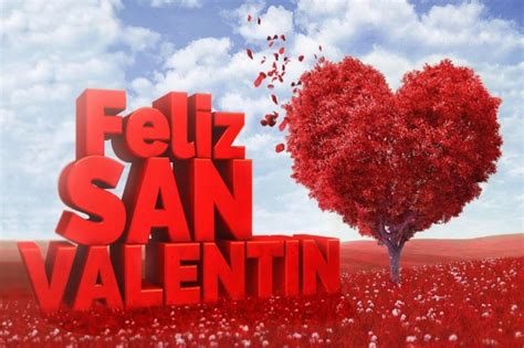 Sintético 182 Como Se Celebra San Valentin En Colombia