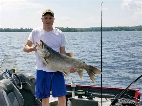 ‘thats A Huge Freshwater Fish Record Breaking Trout Caught On Maine