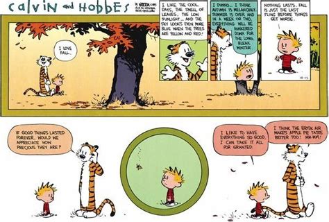 What Are Some Of The Best Calvin And Hobbes Cartoons Quora