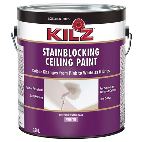 Kilz Stain Blocking Ceiling Paint Réno Dépôt