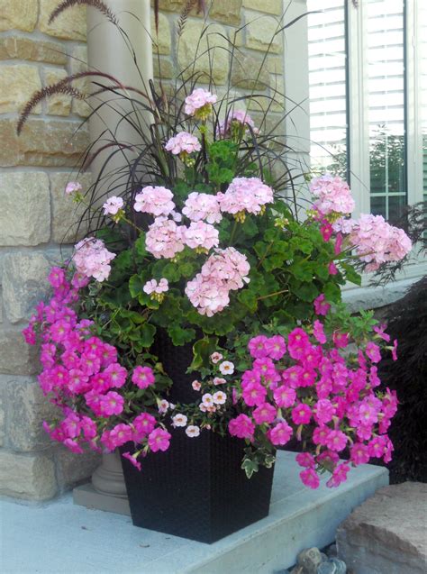 Pretty In Pink Container Flowers Flower Planters Garden Containers