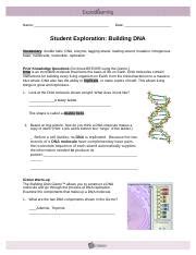 Dna is a polymer that lies within the nucleus of all cells. Building Dna Gizmo Answer Key Page 3, Protein Synthesis ...