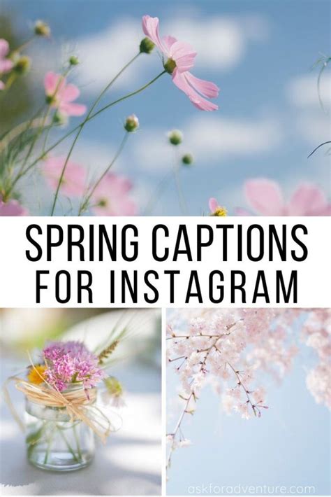 300 Spring Captions For Instagram Quotes Spring Quotes Flowers