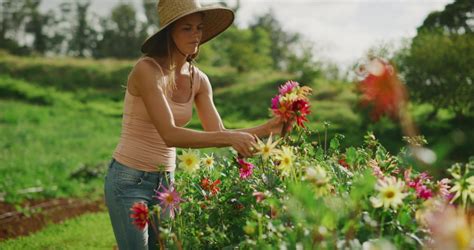 Woman Picking Flowers Hot Sex Picture