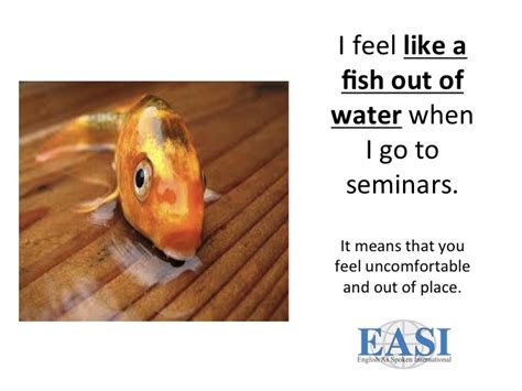 Idioms on spend money like water. Like a fish out of water - Learning English Matters