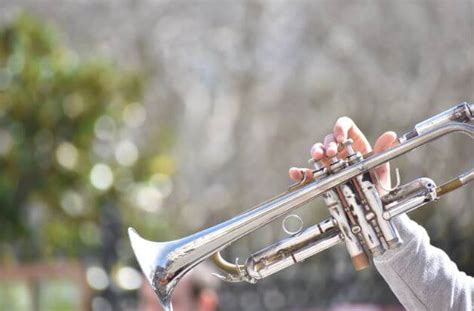 Cornet Vs Trumpet The Ultimate Guide Trumpet Adviser
