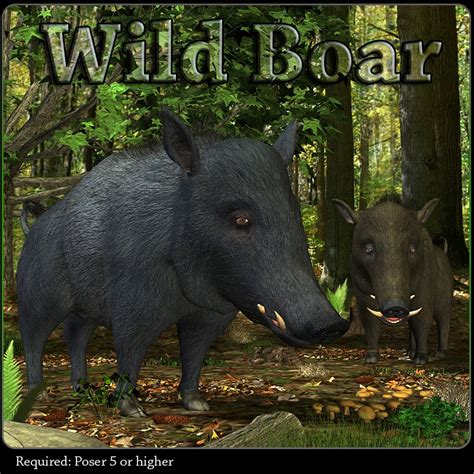 Wild Boar 3d Models Wolmol