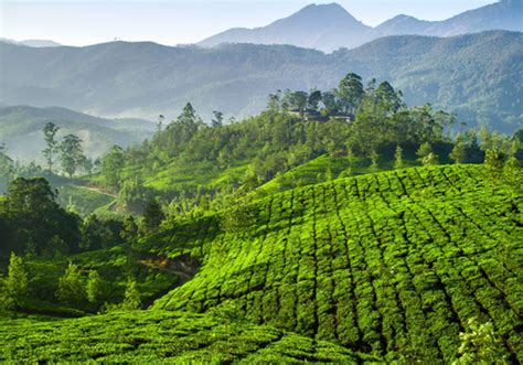5 Nights 6 Days Kerala Tour For World Wide Travellers