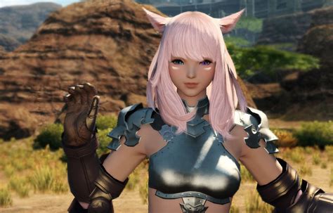 Final Fantasy Xiv A Realm Reborn Miqote Final Fantasy Xiv Final Fantasy 14 Final Fantasy