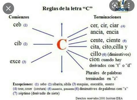 Mapa Conceptual De Las Reglas De La Letra C Brainly Lat