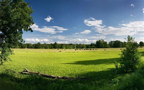 Wallpaper Landscape Hill Nature Grass Sky Field