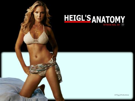 Katherine Heigl S Sexy Anatomy Katherine Heigl Wallpaper Fanpop