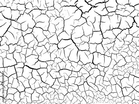 The Cracks Texture White And Black Vector Backgroundcracked Earth