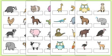 Editable Cute Animals Labels Teacher Made Twinkl