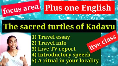 The Sacred Turtles Of Kadavu Focus Area Lesson 7 Youtube