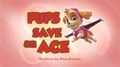 Pups Save An Ace Paw Patrol Wiki Fandom Powered By Wikia