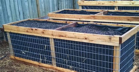 In Season: Make your own raised beds for around $100