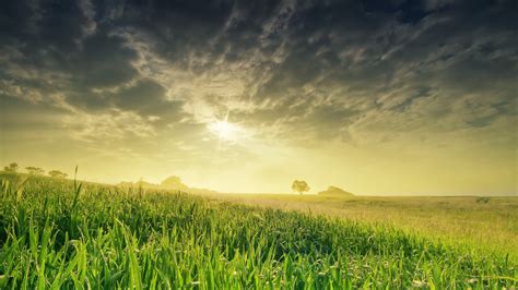 Wallpaper Field Nature Sky Grass 4k Nature 15453 Page 3