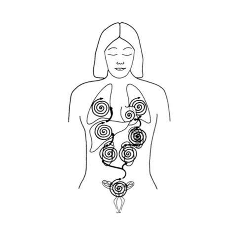 Massaging The Hands Spiraling Sexual Energy Around The Organs The Tao Blog