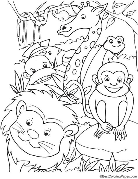 Animals In Forest Coloring Page Download Free Animals In Forest