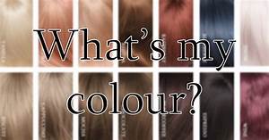 Confused About Wig Colour Colour Chart For Wigs