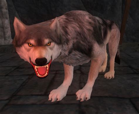 Wolf A Showcase Of Spawners For Everquest Ii Dungeon