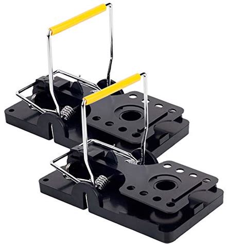 Top 10 Best Lethal Squirrel Traps 2022 In The Uk