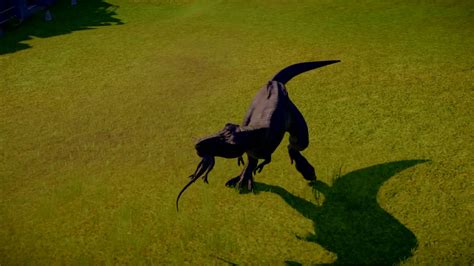 Jurassic World Evolution T Rex Vs Raptor Youtube