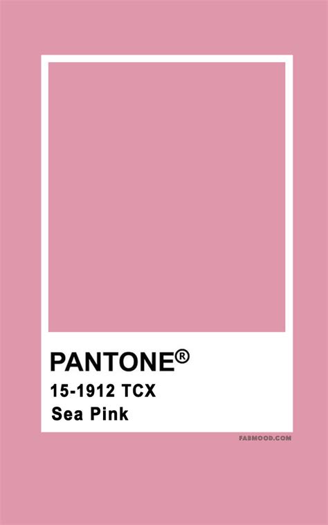 21 Color Pantone Ideas Pantone Color Pantone Color