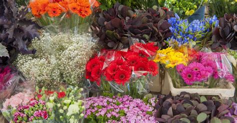 How To Store Wholesale Flowers Floral Care 101