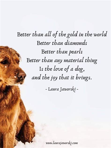 Pin By Carol Anderson On Golden Retriever Dog Quotes Love Puppy