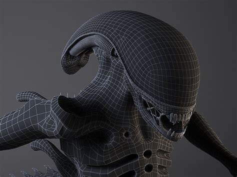 Xenomorph Free 3d Model Obj Cgtrader Hot Sex Picture