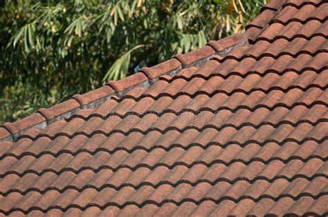 Old Roof Tiles Of House Stock Image Image Of Architectural 108375595
