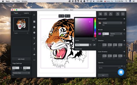 10 Best Graphic Design Software For Beginners Free Download Seeromega