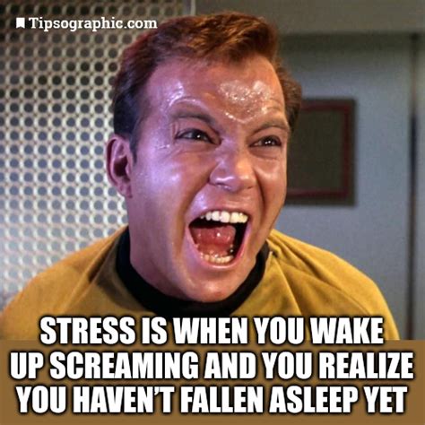 45 one line memes ranked in order of popularity and relevancy. What Happens When Captain Kirk Meets Project Management Memes | Tipsographic | One liner jokes ...