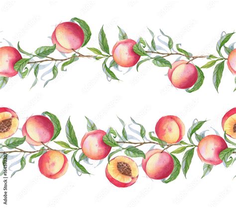 Hand Drawn Watercolor Borders With The Peaches On The Branch Fruit