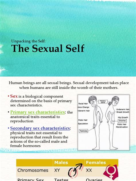 Uts The Sexual Self Pdf Luteinizing Hormone Orgasm