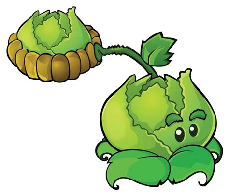 Cabbage Pultgallery Plants Vs Zombies Wiki Fandom