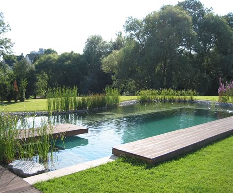 Natural Swimming Pool Design And Construction Services Splash Gordon