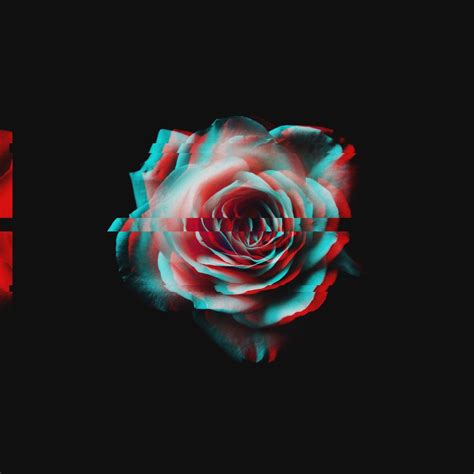 Glitch Rose Amoled Glitch Wallpaper Trippy Wallpaper Aesthetic Roses