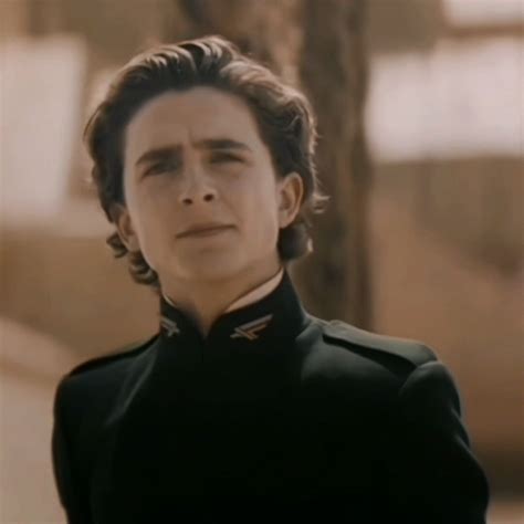 Paul Atreides Icons Dune Timothée Chalamet Paul Atreides Dune The