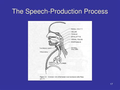 Ppt The Process Of Speech Production And Perception In Human Beings Powerpoint Presentation