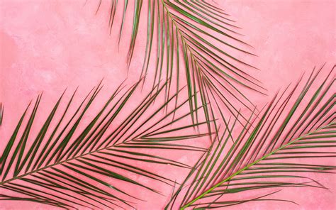 Download Wallpaper 3840x2400 Palm Tree Branches Pastel Leaves