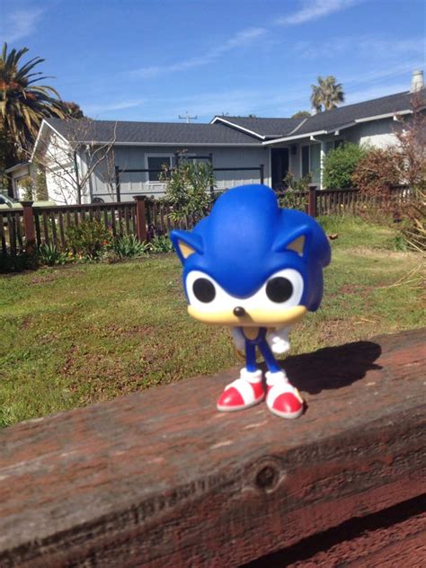 Sonic In Real Lifesorta Sonic The Hedgehog Amino