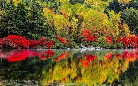 1920x1080px 1080p Free Download Autumn Reflections Wonderful High