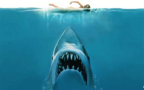 Jaws Movie Concept Wallpaper High Definition High Quality Widescreen