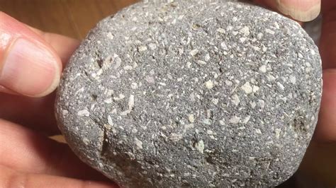 A Rare Meteorite Youtube