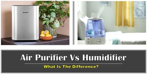 Humidifier Or Dehumidifier What Should You Choose And Why